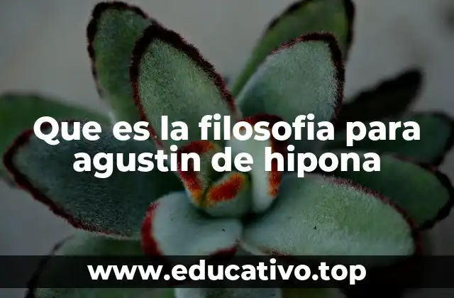 Que es la filosofia para agustin de hipona