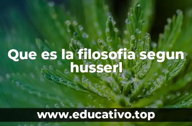 Que es la filosofia segun husserl