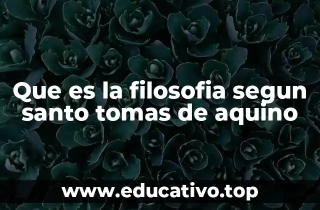 Que es la filosofia segun santo tomas de aquino