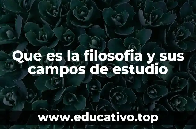 Que es la filosofia y sus campos de estudio
