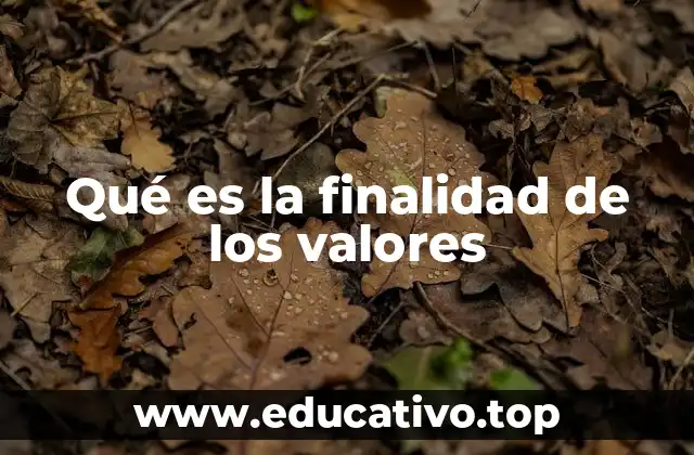 Qué es la finalidad de los valores