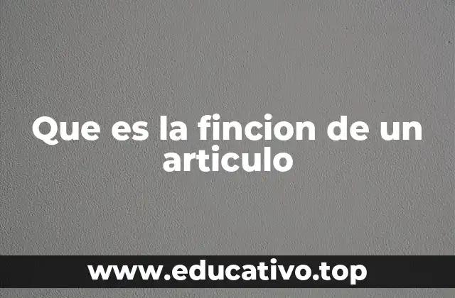 Que es la fincion de un articulo