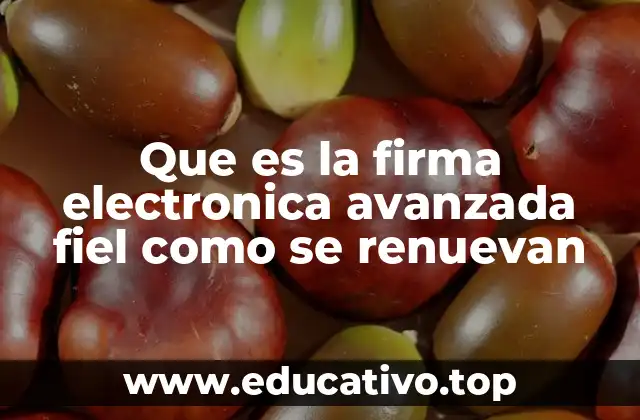Que es la firma electronica avanzada fiel como se renuevan