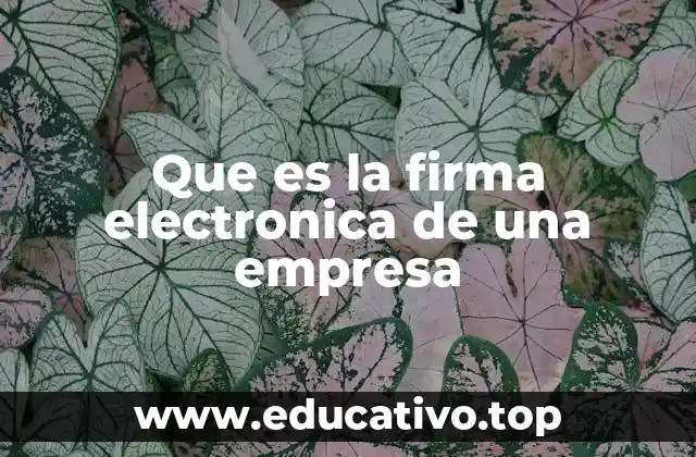 Que es la firma electronica de una empresa