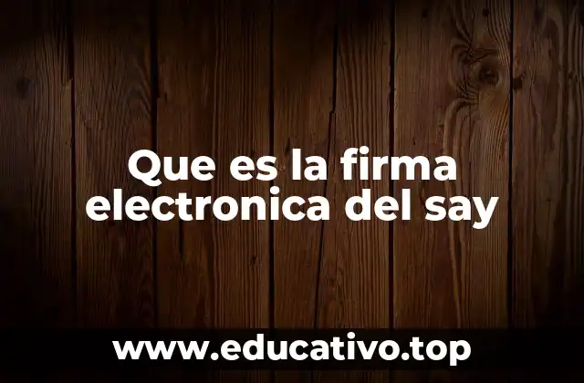 Que es la firma electronica del say