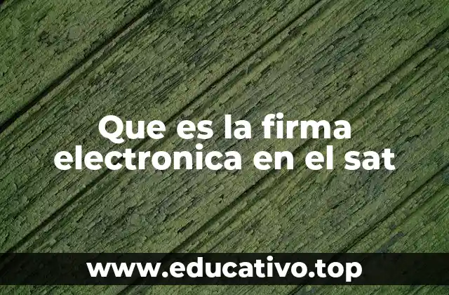 Que es la firma electronica en el sat