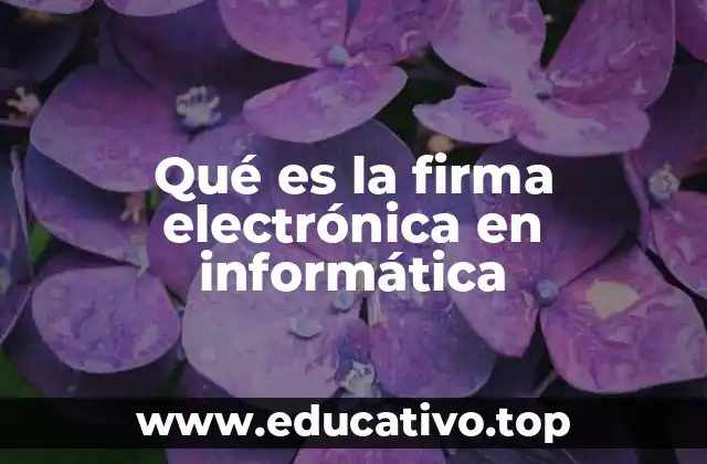 Qué es la firma electrónica en informática