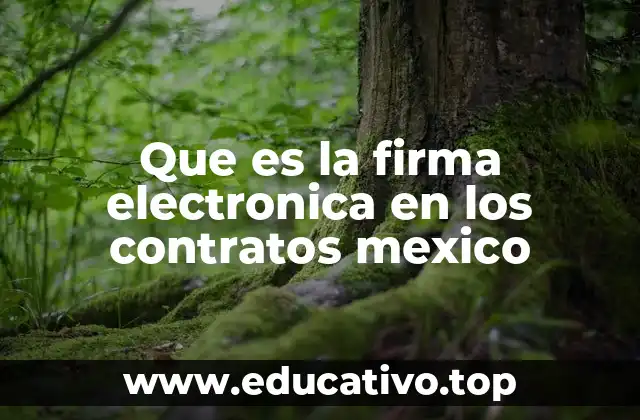 Que es la firma electronica en los contratos mexico