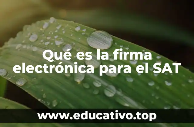 Qué es la firma electrónica para el SAT