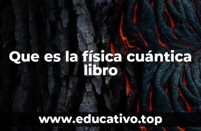 Que es la física cuántica libro