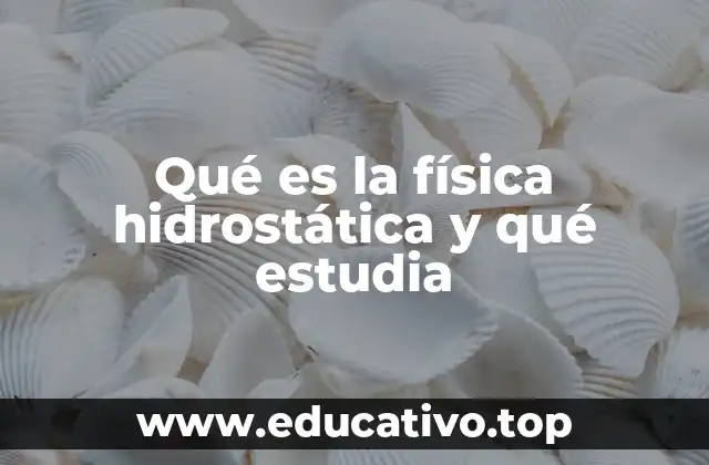 Qué es la física hidrostática y qué estudia