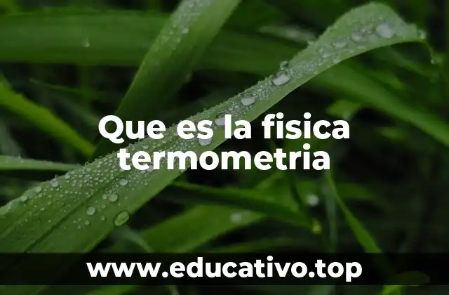 Que es la fisica termometria
