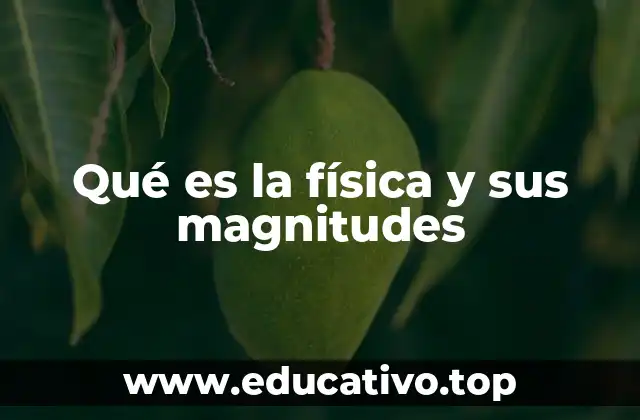 Qué es la física y sus magnitudes