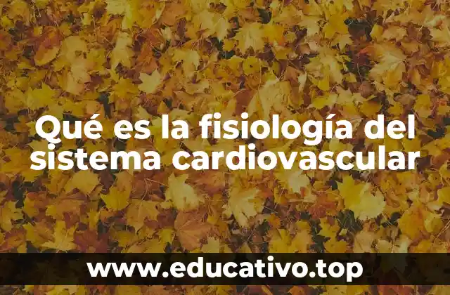 Qué es la fisiología del sistema cardiovascular