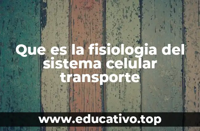 Que es la fisiologia del sistema celular transporte