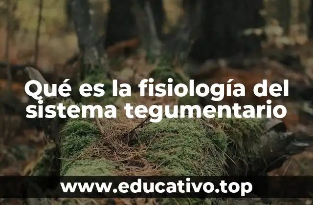 Qué es la fisiología del sistema tegumentario