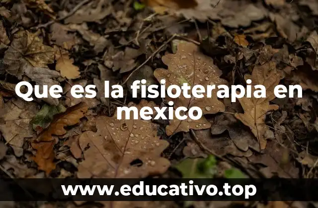 Que es la fisioterapia en mexico