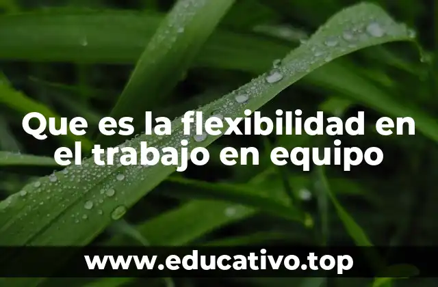 Que es la flexibilidad en el trabajo en equipo