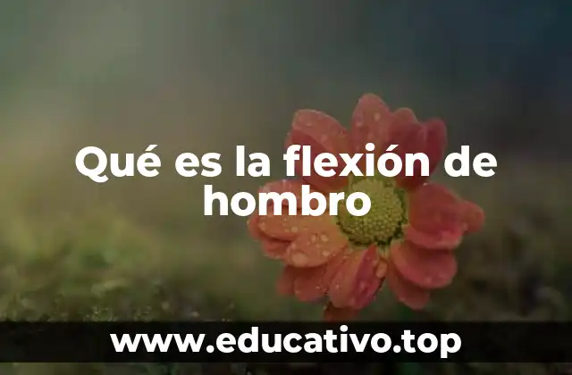 Qué es la flexión de hombro