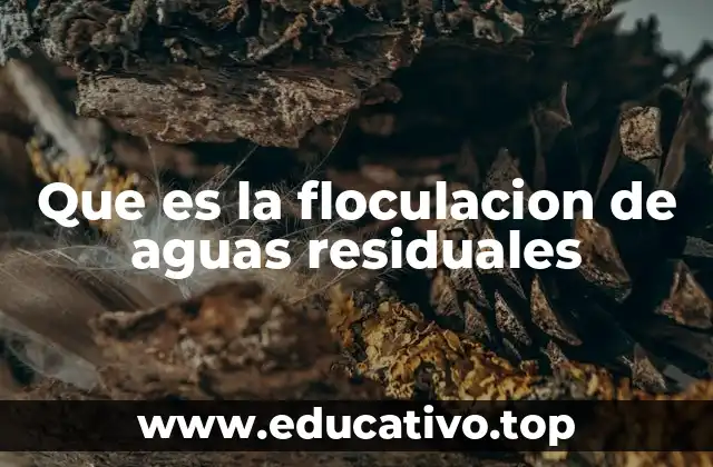 Que es la floculacion de aguas residuales