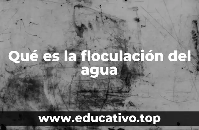 Qué es la floculación del agua