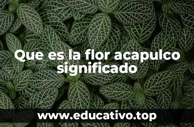 Que es la flor acapulco significado