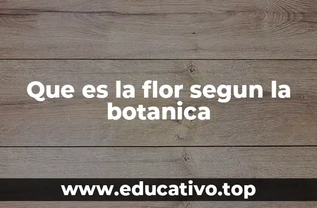 Que es la flor segun la botanica