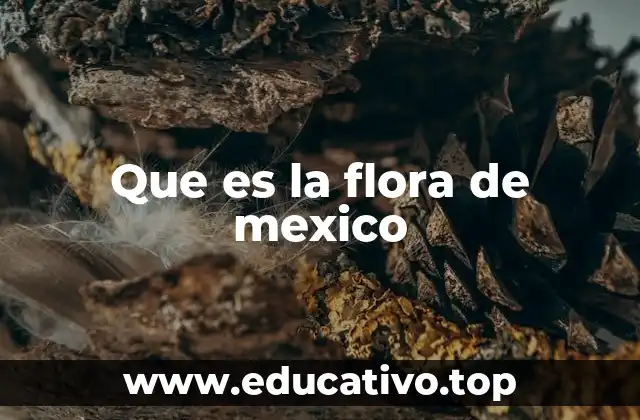 Que es la flora de mexico