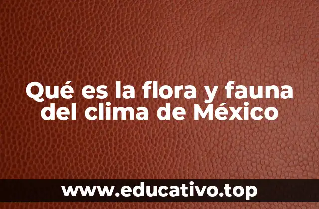 La relación entre el clima y la biodiversidad en México