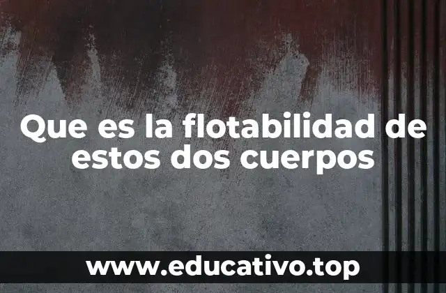Que es la flotabilidad de estos dos cuerpos