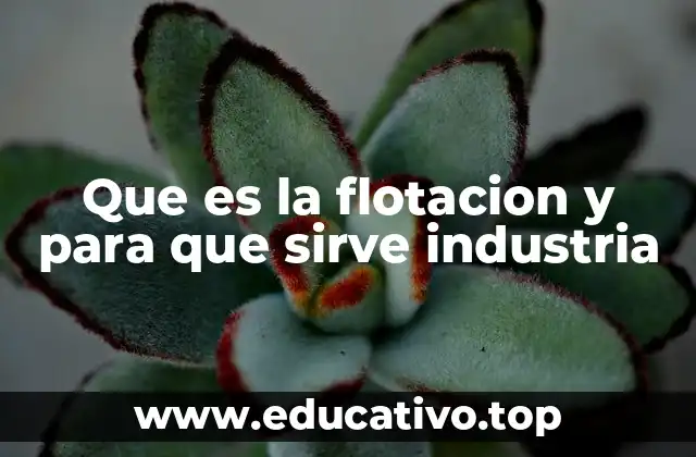 Que es la flotacion y para que sirve industria