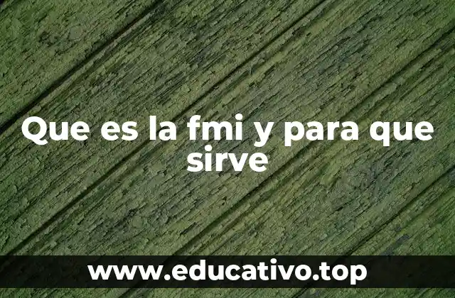 Que es la fmi y para que sirve