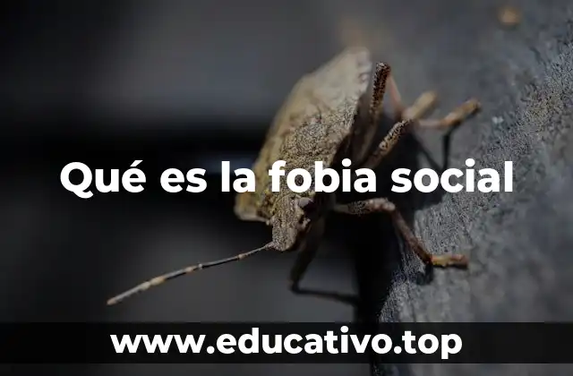 Qué es la fobia social