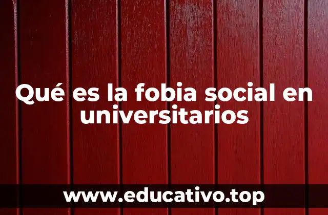 El impacto emocional y académico en el entorno universitario