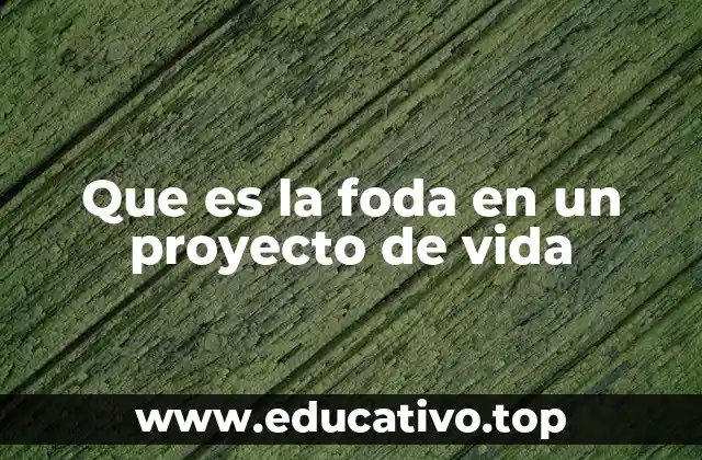 Que es la foda en un proyecto de vida