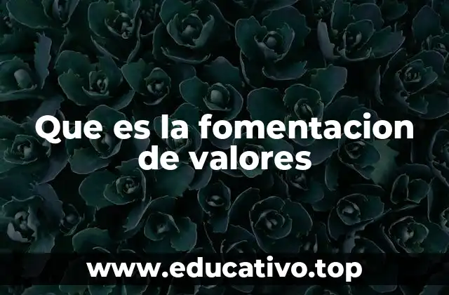 Que es la fomentacion de valores