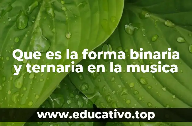 Que es la forma binaria y ternaria en la musica