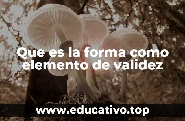 Que es la forma como elemento de validez