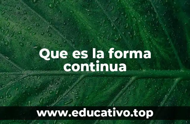 Que es la forma continua
