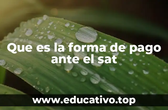 Que es la forma de pago ante el sat