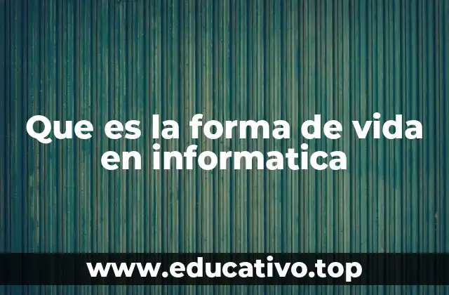 Que es la forma de vida en informatica