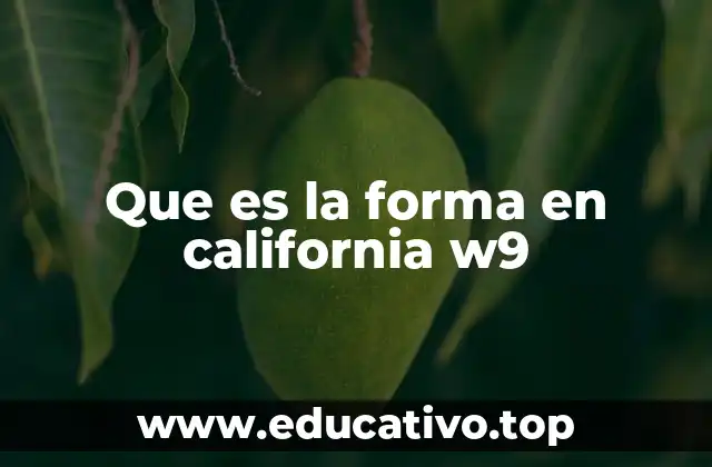 Que es la forma en california w9