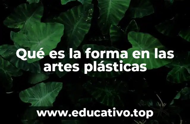 Qué es la forma en las artes plásticas