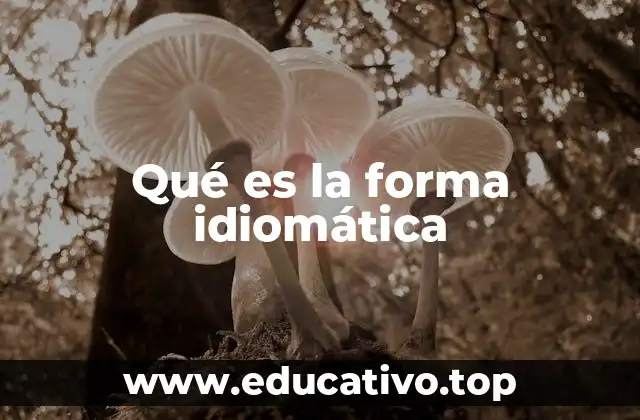 Qué es la forma idiomática