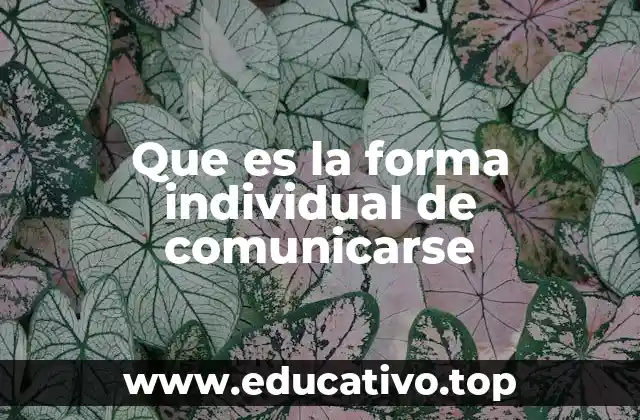 Que es la forma individual de comunicarse