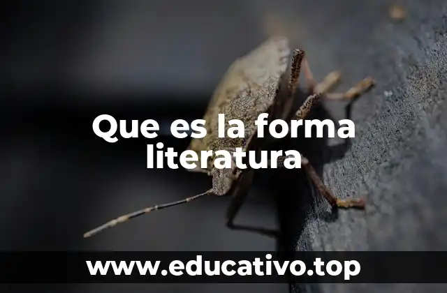 Que es la forma literatura