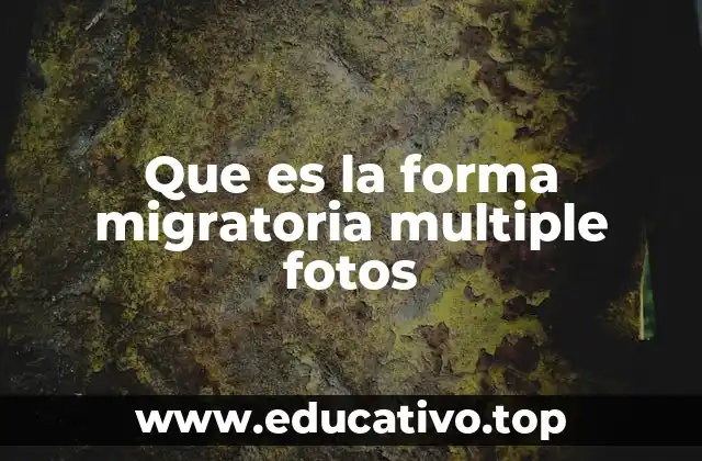 Que es la forma migratoria multiple fotos