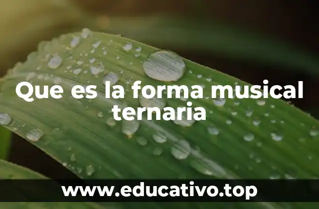 Que es la forma musical ternaria