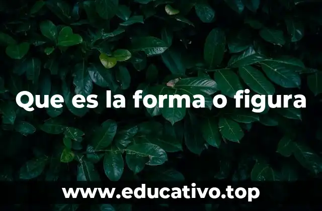 Que es la forma o figura