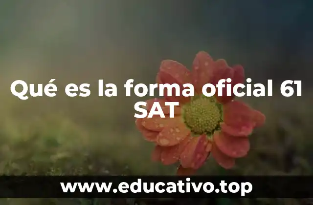 Qué es la forma oficial 61 SAT